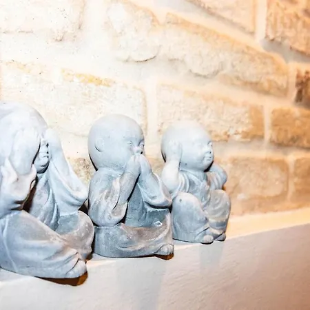 Attico Elegante Centralissimo Chiaravalle